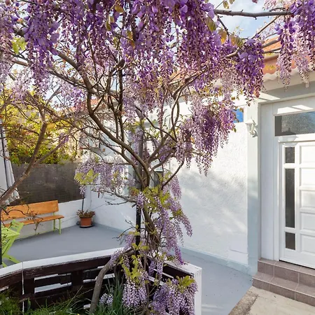 Ema Apartman Zára